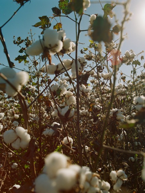 Haelixa's tool adds distinct DNA sequences into textile fibers and raw materials which can then be traced through every stage of the supply chain.