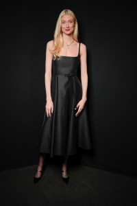 Elizabeth Debicki at the Dior Fall 2024 ready-to-wear show