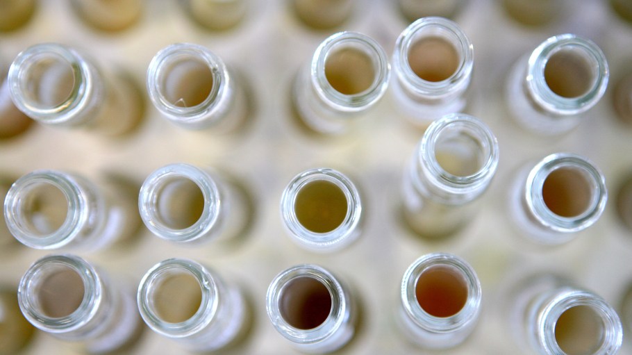 Test tubes.