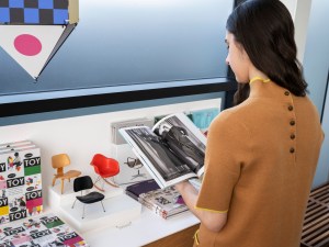 The Eames Institute