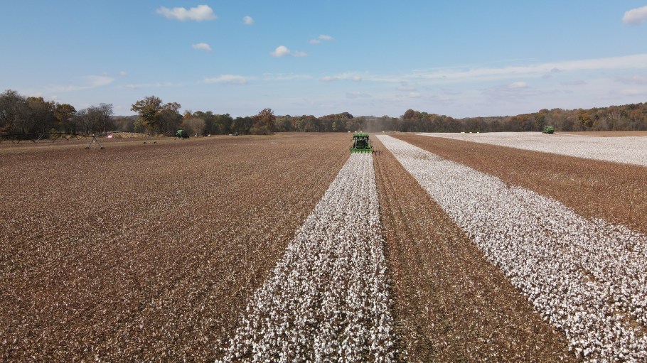 The U.S. Cotton Trust Protocol's 2023 Annual Report details progress across six metrics.