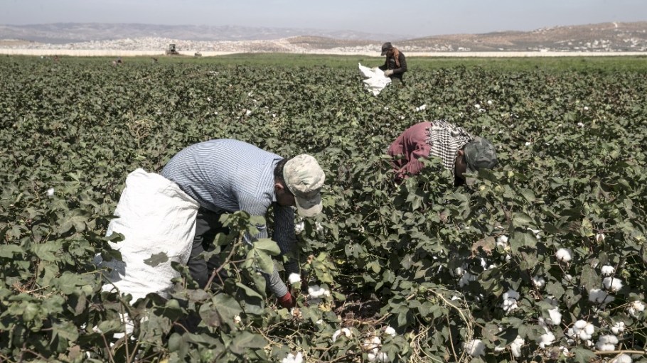 ILO data shows that agriculture is among the top exploited industries.