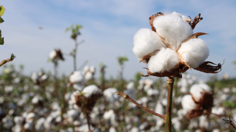 Earth Day is a call for fashion to reduce the use of synthetics