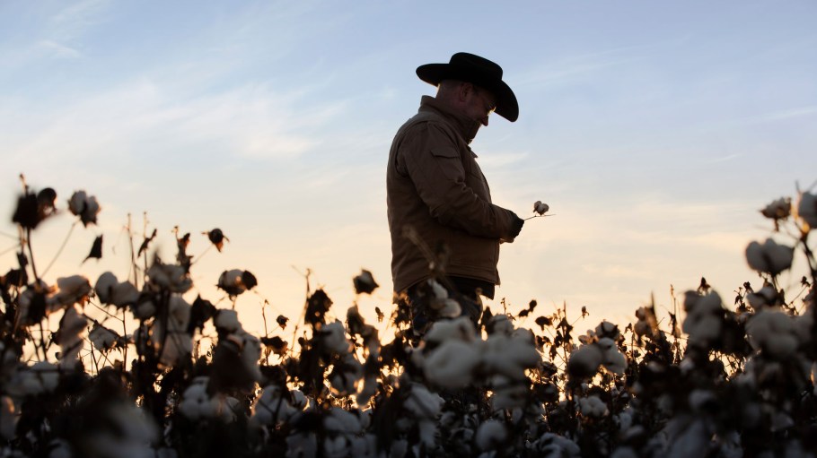 Farmers are using regenerative agriculture practices.