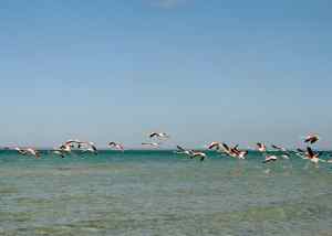 Photographer Malick Bodian captures Mozambique as an artist in residence at the Eco-luxury Kisawa Sanctuary.