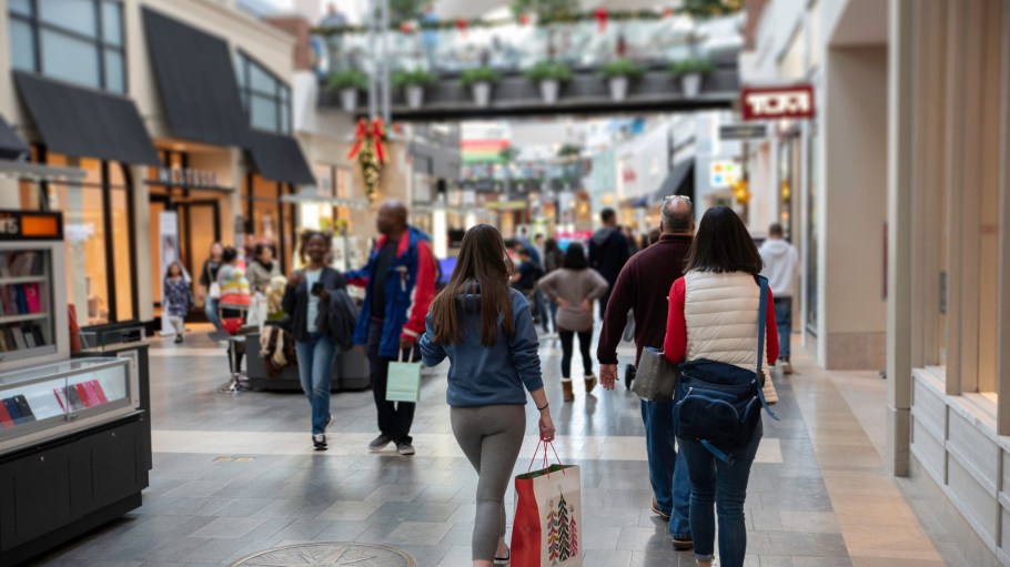 Shoppers at a mall.