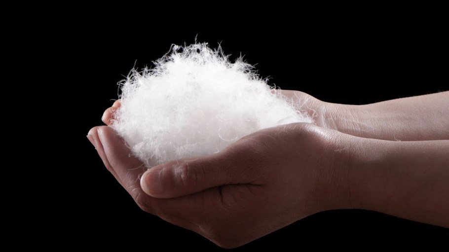 The report provides detailed analyses of how next-gen materials can surpass their traditional counterparts in performance and sustainability. For instance, next-gen down could offer superior insulating properties and better performance in wet conditions.