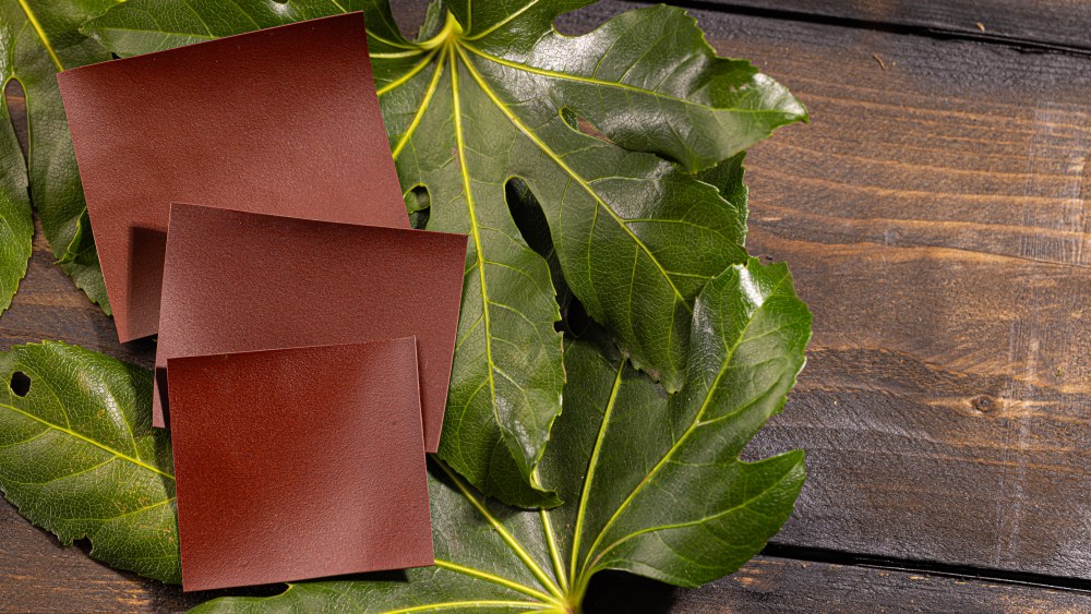 Mira Nameth, CEO and co-founder of bio-based leather alternative manufacturer Biophilica, discusses the importance of bio-based certification to quell ambiguities.