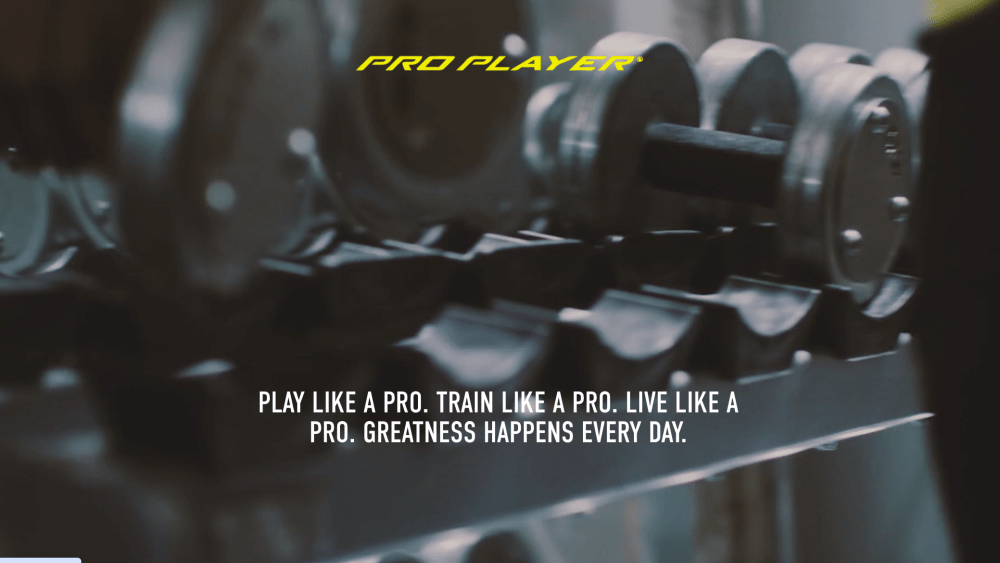 A screen shot from the Pro Player website.