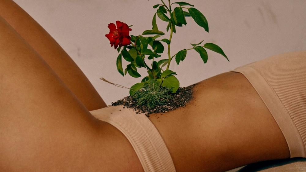 Wellness Watch