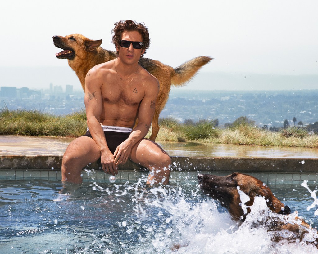Jeremy Allen White, calvin klein underwear