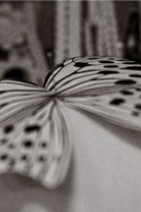 "Every piece in 'Ethereal' embodies the art of metamorphosis." — Patricia Bonaldi Courtesy of PatBo