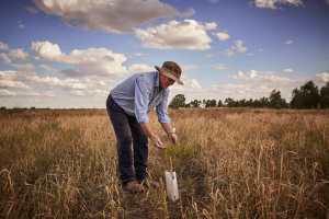 Woolmark+ presents a roadmap of initiatives devised to help woolgrowers and their value chain partners achieve their sustainability goals.