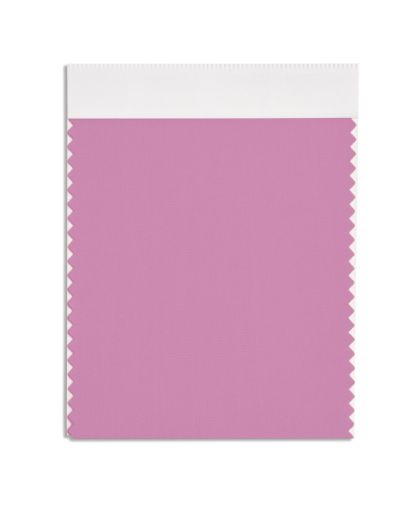 Pantone's 16-3115
