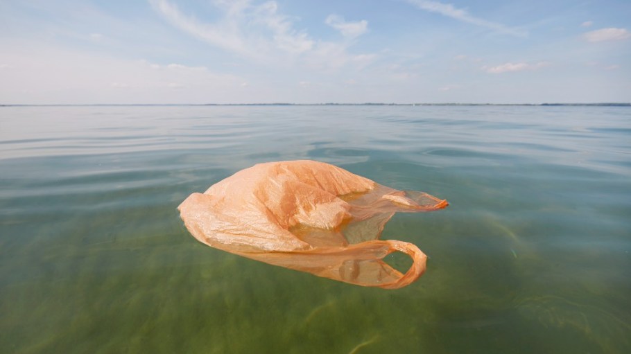 California Governor Gavin Newsom signed a ban on plastic bags this week.