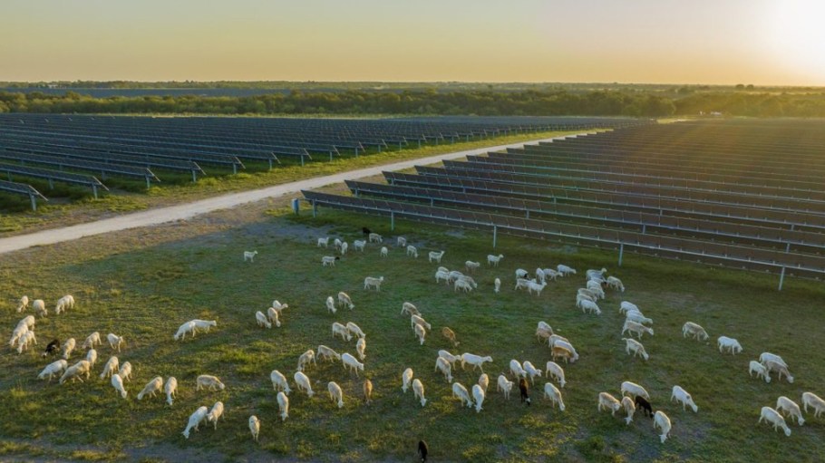 H&M Lighthouse bp Texas solar farm