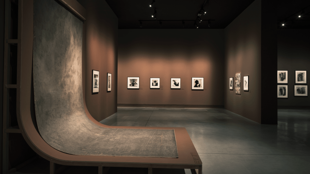 Irving Penn Retrospective at Marta Ortega Pérez Foundation in Spain