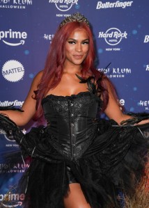 Monet Mcmichael