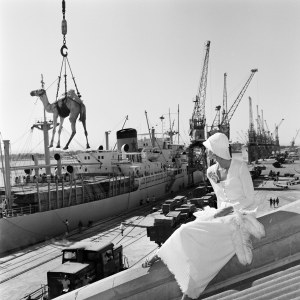 Gian Paolo Barbieri's most iconic photographs: Jill Kennington in Missoni, Porto Sudan, 1974.