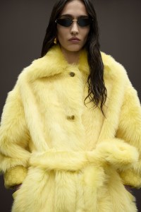 Gucci Pre-Fall 2025 Collection