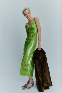 Huishan Zhang Pre-Fall 2025 Collection