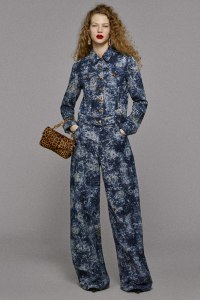 Roberto Cavalli Pre-Fall 2025 Collection