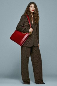 Roberto Cavalli Pre-Fall 2025 Collection