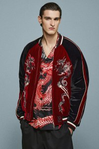 Roberto Cavalli Pre-Fall 2025 Collection