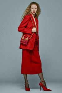 Roberto Cavalli Pre-Fall 2025 Collection