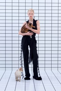 Blumarine Pre-Fall 2025 Collection
