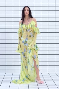 Blumarine Pre-Fall 2025 Collection