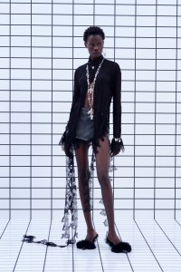 Blumarine Pre-Fall 2025 Collection