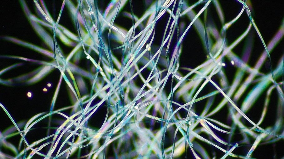 Polyester fleece fibers pictured under a microscope.