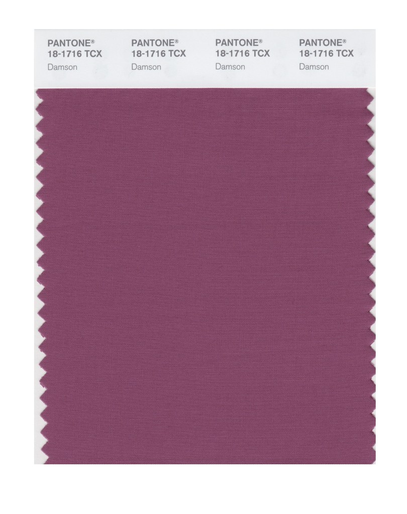 Damson 18-1716