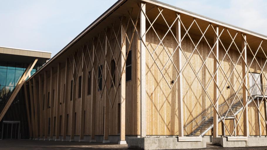 Cellulose producer Suzano halts investing further into the Woodspin joint venture's future. Negotiations with Spinnova for exclusivity rights loom.