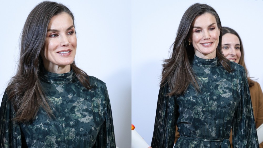 Queen Letizia, Madrid, Royal Academy of Sciences of Spain Foundation Awards for Young Female Scientific Talent, & Other Stories