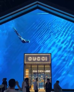 Most Liked on Social Media: Gucci