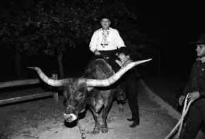 Burt Tansky steadied by his wife, Rita and Waylon, the longhorn steer attend the Neiman Marcus 90th anniversary celebration at the Circle R Ranch on September 22, 1997 in Dallas, Texas.