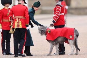 LONDON, ENGLAND - MARCH 17: Catherine, Princess of Wales meets Turlough M√≥r, the Irish Wolf Hound regimental mascot, alongside members of the Irish Guards during the 2025 Irish Guards' St. Patrick's Day Parade at Wellington Barracks on March 17, 2025 in London, England. Catherine, Princess of Wales attends the parade as Colonel of the Regiment. (Photo by Chris Jackson/Getty Images)