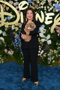 Ana Navarro at the Disney 2025 Upfront Red Carpet held at North Javits Center on May 13, 2025 in New York, New York.