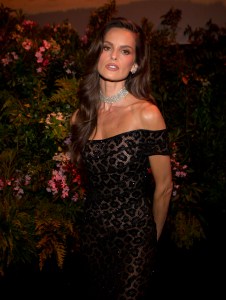 Izabel Goulart