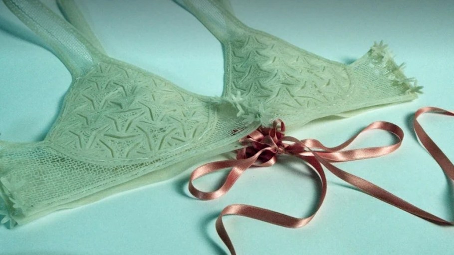 Balena collaborated with multidisciplinary designer Neyla Coronel on a compostable, biobased and 3D printed bra that adapts the wearer’s bust.