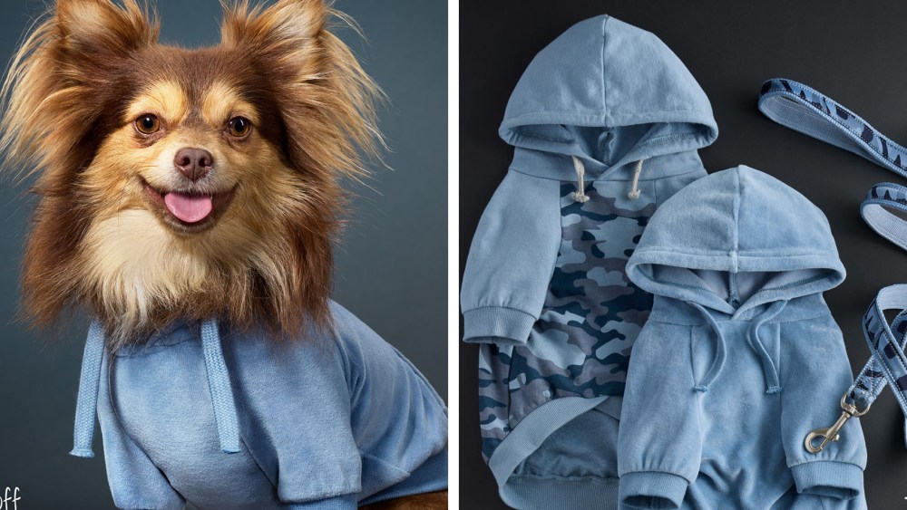 pet passion dog fashion brand