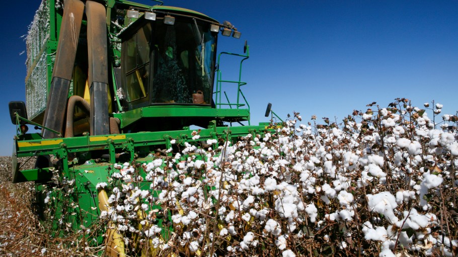 Tariffs, and the uncertainty around them, represent the latest challenge to the fashion industry and cotton supply chains.