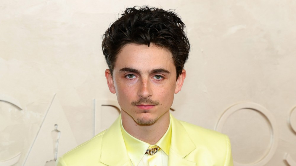 Timothée Chalamet at the 2025 Oscars