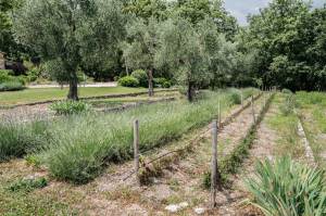 Gardens at the Villa Botanica.