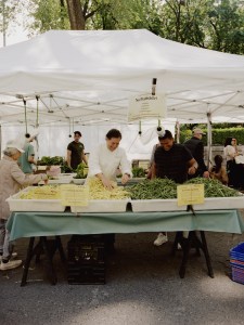 The chef of the Waldorf’s Lex Yard, Michael Anthony, shopping for produce at the Union Square farmer’s market.