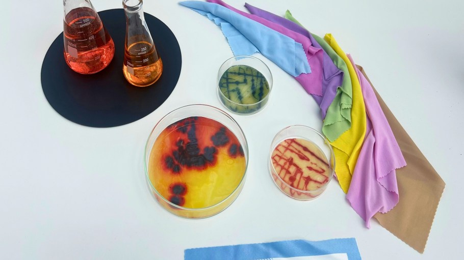 Colorifix developed a biological process that uses engineered microbes to deposit pigments onto fabrics for textile dyeing.