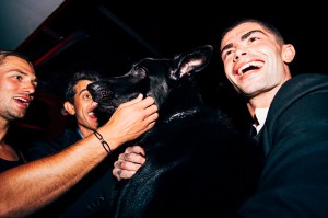 The scene at Mert Alas Seventy One Gin Party during NYFW