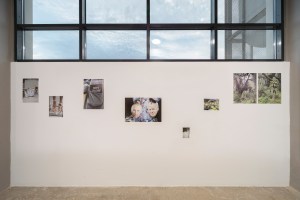 A look at Juergen Teller's show "you are invited" at Onassis Ready in Athens.